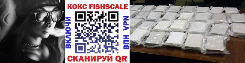 наркошоп  omg   Cocaine Эквадор  Курильск 