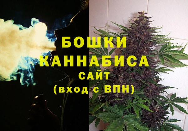 винт Белокуриха
